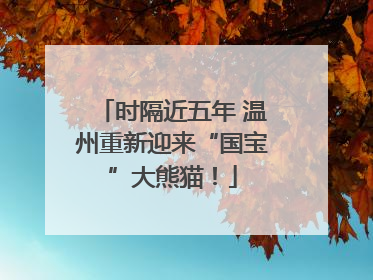 时隔近五年 温州重新迎来“国宝”大熊猫！