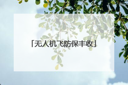 无人机飞防保丰收