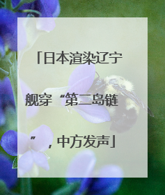 日本渲染辽宁舰穿“第二岛链”，中方发声