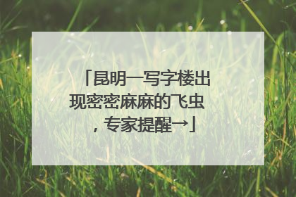 昆明一写字楼出现密密麻麻的飞虫，专家提醒→