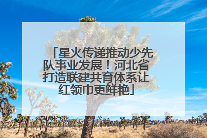 星火传递推动少先队事业发展！河北省打造联建共育体系让红领巾更鲜艳