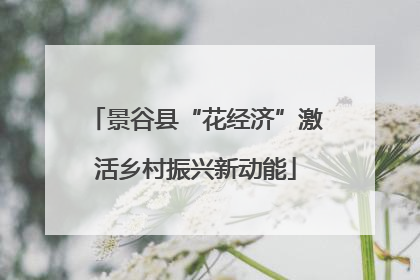 景谷县“花经济”激活乡村振兴新动能