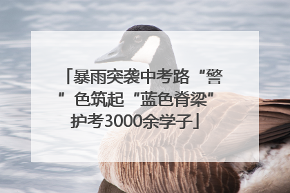 暴雨突袭中考路“警”色筑起“蓝色脊梁”护考3000余学子