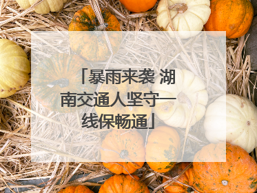 暴雨来袭 湖南交通人坚守一线保畅通