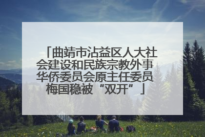 曲靖市沾益区人大社会建设和民族宗教外事华侨委员会原主任委员梅国稳被“双开”