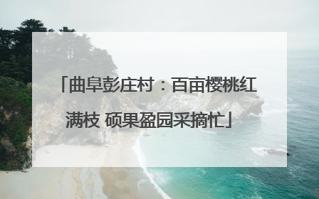 曲阜彭庄村：百亩樱桃红满枝 硕果盈园采摘忙