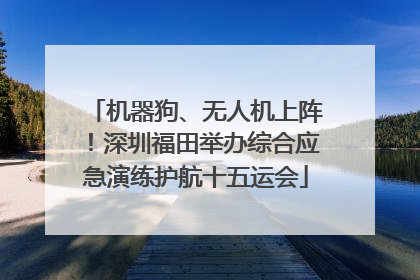 机器狗、无人机上阵！深圳福田举办综合应急演练护航十五运会