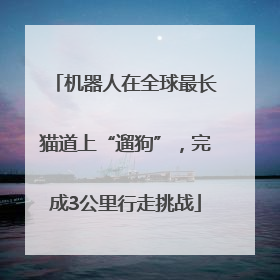 机器人在全球最长猫道上“遛狗”，完成3公里行走挑战