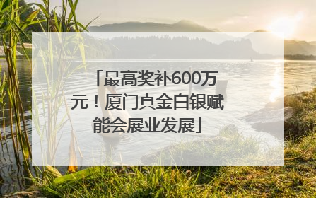 最高奖补600万元！厦门真金白银赋能会展业发展