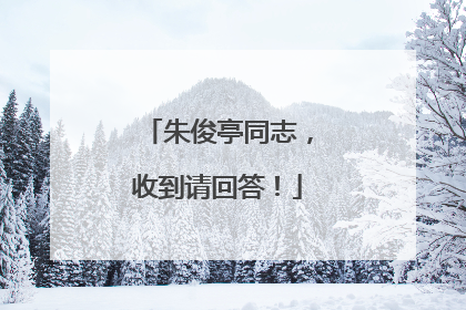 朱俊亭同志，收到请回答！
