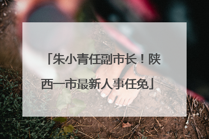 朱小青任副市长！陕西一市最新人事任免