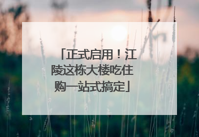 正式启用！江陵这栋大楼吃住购一站式搞定