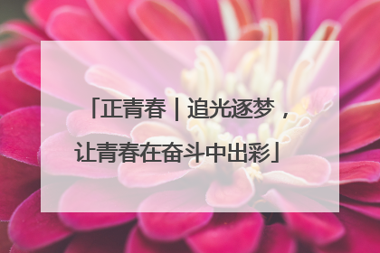 正青春｜追光逐梦，让青春在奋斗中出彩
