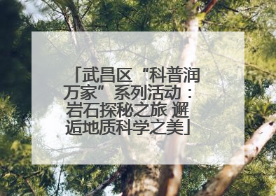 武昌区“科普润万家”系列活动：岩石探秘之旅 邂逅地质科学之美