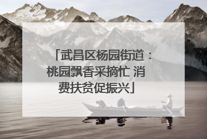 武昌区杨园街道：桃园飘香采摘忙 消费扶贫促振兴