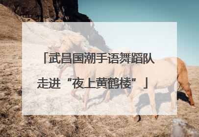 武昌国潮手语舞蹈队走进“夜上黄鹤楼”