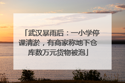 武汉暴雨后：一小学停课清淤，有商家称地下仓库数万元货物被泡