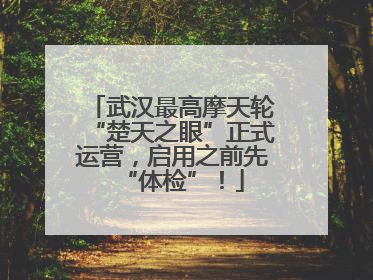 武汉最高摩天轮“楚天之眼”正式运营，启用之前先“体检”！