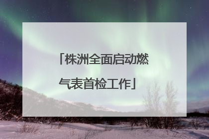 株洲全面启动燃气表首检工作