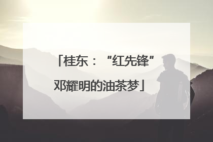 桂东：“红先锋”邓耀明的油茶梦