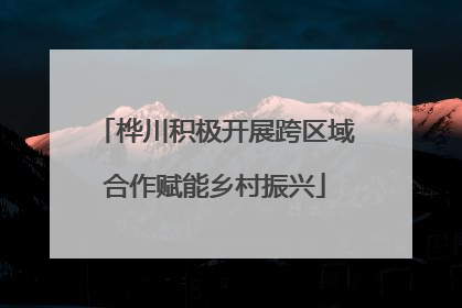 桦川积极开展跨区域合作赋能乡村振兴