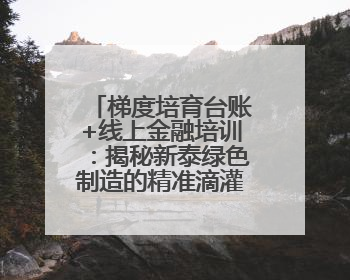 梯度培育台账+线上金融培训：揭秘新泰绿色制造的精准滴灌模式