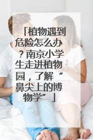 植物遇到危险怎么办？南京小学生走进植物园，了解“鼻尖上的博物学”
