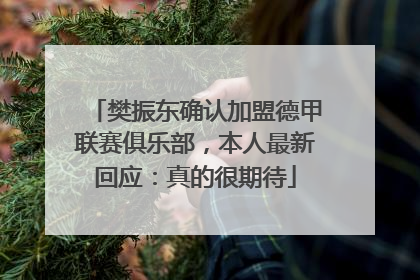 樊振东确认加盟德甲联赛俱乐部，本人最新回应：真的很期待