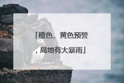橙色、黄色预警，局地有大暴雨
