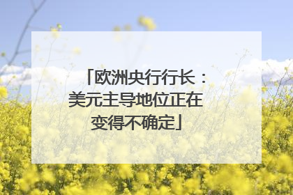 欧洲央行行长：美元主导地位正在变得不确定