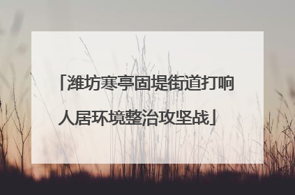 潍坊寒亭固堤街道打响人居环境整治攻坚战