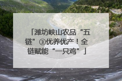 潍坊峡山农品“五链”③优养优产！全链赋能“一只鸡”