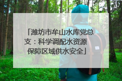 潍坊市牟山水库党总支：科学调配水资源 保障区域供水安全
