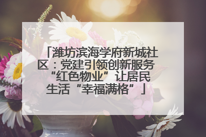 潍坊滨海学府新城社区：党建引领创新服务 “红色物业”让居民生活“幸福满格”