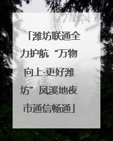 潍坊联通全力护航“万物向上·更好潍坊”凤溪地夜市通信畅通