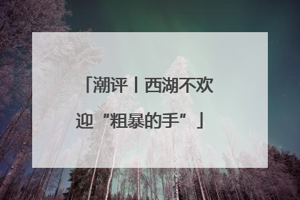 潮评丨西湖不欢迎“粗暴的手”