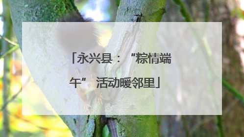 永兴县：“粽情端午” 活动暖邻里