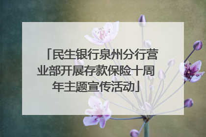 民生银行泉州分行营业部开展存款保险十周年主题宣传活动