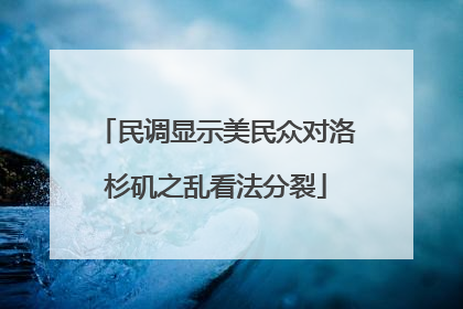 民调显示美民众对洛杉矶之乱看法分裂