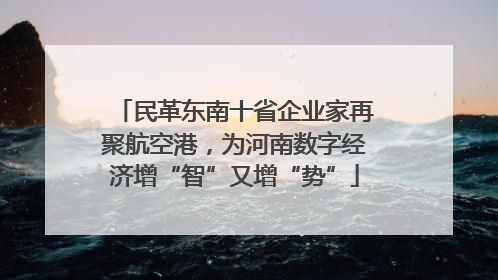 民革东南十省企业家再聚航空港，为河南数字经济增“智”又增“势”