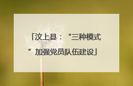 汶上县：“三种模式”加强党员队伍建设