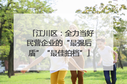江川区：全力当好民营企业的“最强后盾”“最佳拍档”