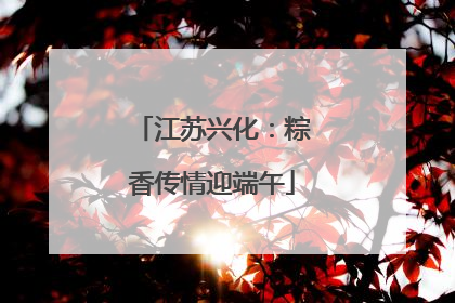 江苏兴化：粽香传情迎端午