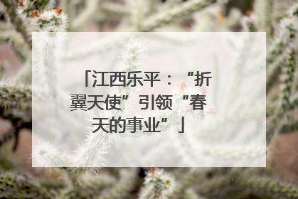 江西乐平：“折翼天使”引领“春天的事业”