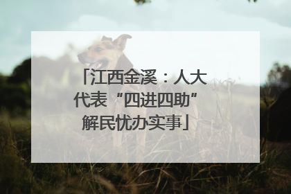 江西金溪：人大代表“四进四助”解民忧办实事