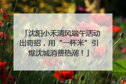 沈阳小禾清风端午活动出奇招，用“一杯米”引爆沈城消费热潮！