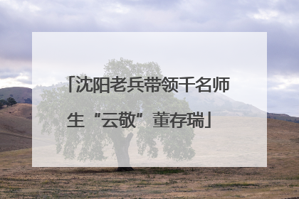 沈阳老兵带领千名师生“云敬”董存瑞