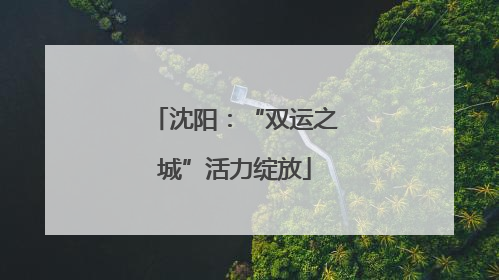 沈阳：“双运之城”活力绽放