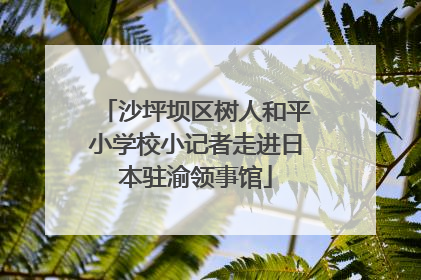 沙坪坝区树人和平小学校小记者走进日本驻渝领事馆
