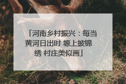 河南乡村振兴：每当黄河日出时 塬上披锦绣 村庄美似画